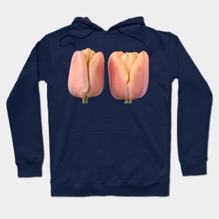 Tulipa &#39;La Belle epoque&#39;  Double Early Tulip Hoodie